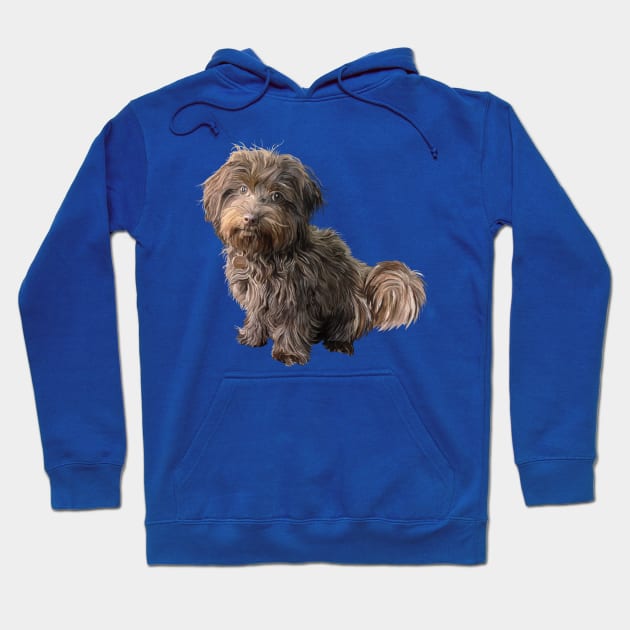 Cute Havanese Dog Hoodie by Art by Deborah Camp